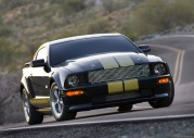 Shelby Cobra GT500 Show Car